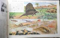 科学クラブ　昭和31年第10号　特集/地球・生物の進化・人類の発達　e
