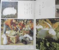 どうぶつのずかん　みぢかなどうぶつたち　よいこのがくしゅう昭和42年3月号付録　学研　d
