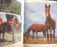 どうぶつのずかん　みぢかなどうぶつたち　よいこのがくしゅう昭和42年3月号付録　学研　d
