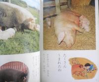 どうぶつのずかん　みぢかなどうぶつたち　よいこのがくしゅう昭和42年3月号付録　学研　d
