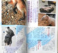 月刊ムー　2011年2月号No.363　総力特集/ヒトラーはUFO開発に成功していた！！　学研　t

