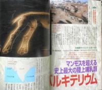 月刊ムー　2002年9月号No.262　総力特集/失われた「聖石」と闇の魔術戦争　学研　u