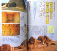 月刊ムー　2005年7月号No.296　総力特集/ローマ教皇悪魔の大預言　学研　a
