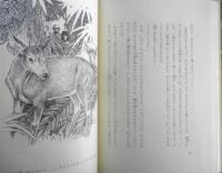 ジャングルの少年 チボール・セケリ　高杉一郎訳/松岡達英画　1984年6刷　福音館書店　d
