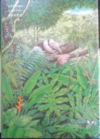 ジャングルの少年 チボール・セケリ　高杉一郎訳/松岡達英画　1984年6刷　福音館書店　d
