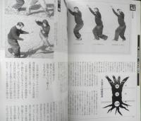 月刊秘伝　1999年4月号　特集/拳聖澤井健一と太気至誠拳法　BABジャパン　a
