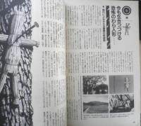 月刊ムー　1983年6月号No.31　総力特集/悪魔の王反キリストの秘密　学研　z
