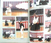 月刊武道　1993年4月号　日本古武道演舞大会　日本武道館　q
