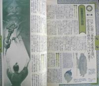 月刊ムー　1987年6月号No.79　総力特集/ソリッド・ステート生命体の陰謀　学研　q
