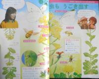 2年のかがく　りか・さんすう　1982年3月教材　学研　b
