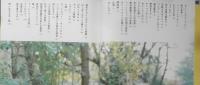 ひとりの暮らし小さな贅沢　有元葉子　2003年6刷　筑摩書房　g
