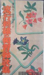 流行刺繍の独習秘訣集　主婦之友昭和15年2月号附録　v
