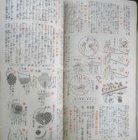 流行刺繍の独習秘訣集　主婦之友昭和15年2月号附録　v
