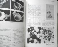 日本画の表現技法　石踊紘一・高崎三朗　1994年16刷　美術出版社　q
