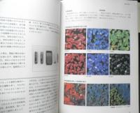 日本画の表現技法　石踊紘一・高崎三朗　1994年16刷　美術出版社　q
