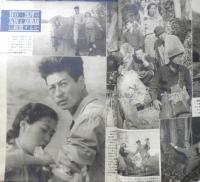 映画世界　昭和25年11月15日号　危胎に瀕する日本映画の経済白書　y
