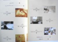 英国スタイルの部屋　ヴィクトリア編集部編・著　訳/志門君子　2009年8刷　PARCO出版　g
