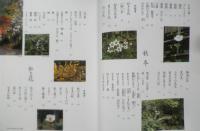花日記 白洲正子　撮影/藤森武　1999年6刷　世界文化社　h
