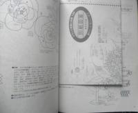 フランス刺繍と図案140　2013年初版　贈りたい花飾りたい花2　啓佑社　n
