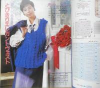 ミセスのヴェスト全集　主婦の友昭和60年2月号付録　t
