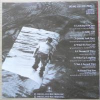 CD ROBERT PALMER CLUES　ロバート・パーマー a
