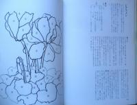 NHK婦人百科 花のちぎり絵　佐藤せつ　昭和60年初版　日本放送出版協会　b
