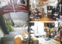 猫カフェめぐり　あの猫に会いにでかけよう　逸見チエコ　2008年初版　エンターブレイン　t
