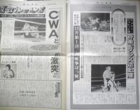 週刊ファイト　1990年10月25日No.1180　UWF騒動の疑問点　新大阪新聞社　q
