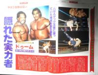 週刊ファイト　1990年8月30日No.1172　猪木会長世界戦略構想第2弾　新大阪新聞社　x
