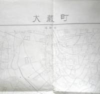 地図　大蔵町　昭和36年修正版　東京都首都整備局　a18

