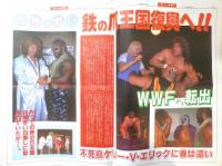 週刊ファイト　1990年7月26日No.1168　谷津全日プロ引退！！　新大阪新聞社　x
