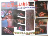 週刊ファイト　1990年4月12日No.1154　武藤/橋本の首を斬れ！　新大阪新聞社　v
