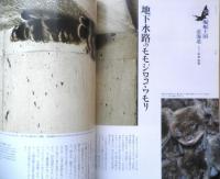 faura ファウラ　2008年9月号No.21　特集/サケ　有限会社ナチュラリー　d
