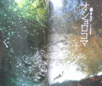 faura ファウラ　2013年9月号No.41　特集/オショロコマ・渓流の宝石　有限会社ナチュラリー　d
