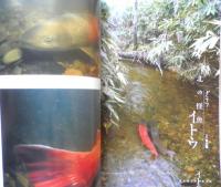faura ファウラ　2010年3月号No.27　特集/イトウ・日本最大の淡水魚　有限会社ナチュラリー　d
