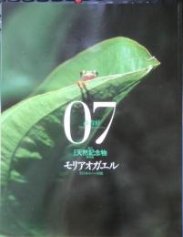 週刊日本の天然記念物 07 動物編 モリアオガエル　全日本カエル図鑑　小学館　2002年初版　c
