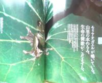 週刊日本の天然記念物 07 動物編 モリアオガエル　全日本カエル図鑑　小学館　2002年初版　c
