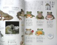 週刊日本の天然記念物 07 動物編 モリアオガエル　全日本カエル図鑑　小学館　2002年初版　c

