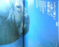週刊日本の天然記念物 動物編 04 ジュゴン　日本近海のイルカ・クジラ　小学館　2002年初版　c
