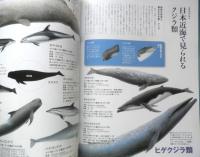 週刊日本の天然記念物 動物編 04 ジュゴン　日本近海のイルカ・クジラ　小学館　2002年初版　c
