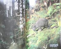 週刊日本の天然記念物 動物編 03 アマミノクロウサギ　日本の野生ウサギ　小学館　2002年初版　c
