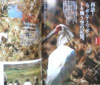 週刊日本の天然記念物 動物編 02 トキ　水田に舞い降りる鳥　小学館　2002年初版　c
