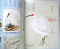 週刊日本の天然記念物 動物編 02 トキ　水田に舞い降りる鳥　小学館　2002年初版　c
