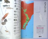 週刊日本の天然記念物 動物編 40 ホタルイカ　日本イカ・タコ図鑑　小学館　2003年初版　c
