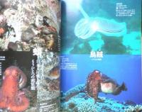 週刊日本の天然記念物 動物編 40 ホタルイカ　日本イカ・タコ図鑑　小学館　2003年初版　c
