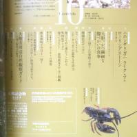 週刊日本の天然記念物 動物編 10　ニホンザリガニ　日本産・淡水のエビ・カニ図鑑　小学館　2002年初版　c
