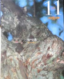週刊日本の天然記念物 動物編 11　ヤマネ　森林の小動物たち　小学館　2002年初版　c
