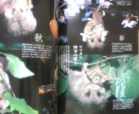 週刊日本の天然記念物 動物編 11　ヤマネ　森林の小動物たち　小学館　2002年初版　c
