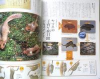 週刊日本の天然記念物 動物編 11　ヤマネ　森林の小動物たち　小学館　2002年初版　c
