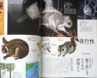 週刊日本の天然記念物 動物編 11　ヤマネ　森林の小動物たち　小学館　2002年初版　c
